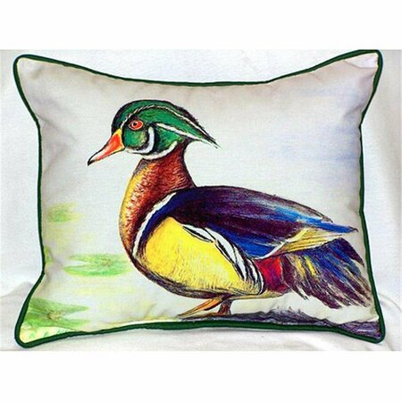 JENSENDISTRIBUTIONSERVICES Male Wood Duck Large Indoor-Outdoor Pillow 16 in. x 20 in. MI48780